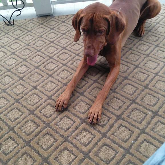 ottis52